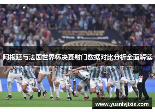 阿根廷与法国世界杯决赛射门数据对比分析全面解读