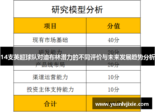 14支英超球队对迪布林潜力的不同评价与未来发展趋势分析