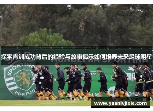 探索青训成功背后的经验与故事揭示如何培养未来足球明星