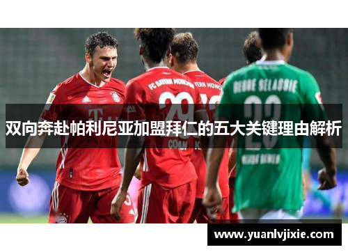 双向奔赴帕利尼亚加盟拜仁的五大关键理由解析