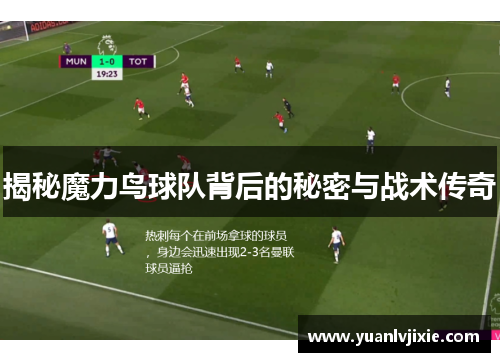 揭秘魔力鸟球队背后的秘密与战术传奇