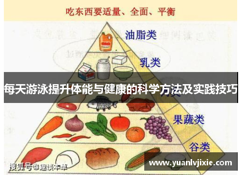 每天游泳提升体能与健康的科学方法及实践技巧